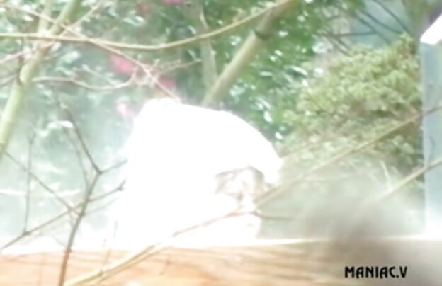 XXX شرجی دانلود جدید فیلم سوپر لیسیدن مقعد مرد و زن