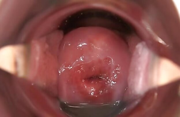 XXX جوانان دانشجو به ارمغان آورد یک مرد با تجربه در اتاق خواب سکس اچ دی جدید به او دمار از روزگارمان درآورد سخت و خوراک او با ژله