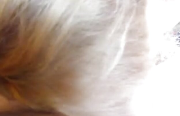 XXX قرمز, سگ سایت سکسی sex021 ماده به ادم سفیه و احمق در خیابان