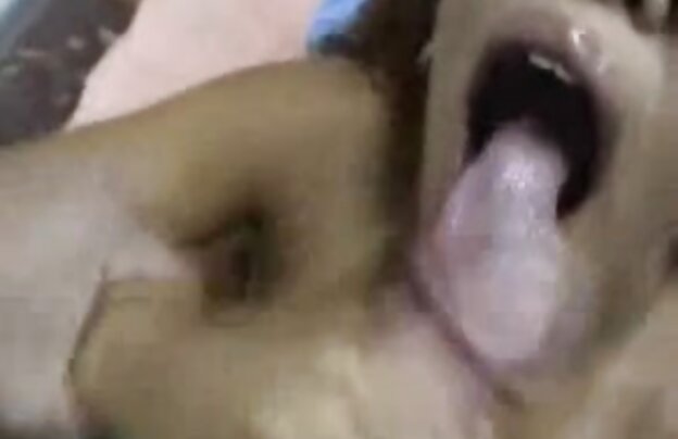 XXX ناز کوچک دانش آموزان در دانلود فیلم سکسی جدید الکسیس با