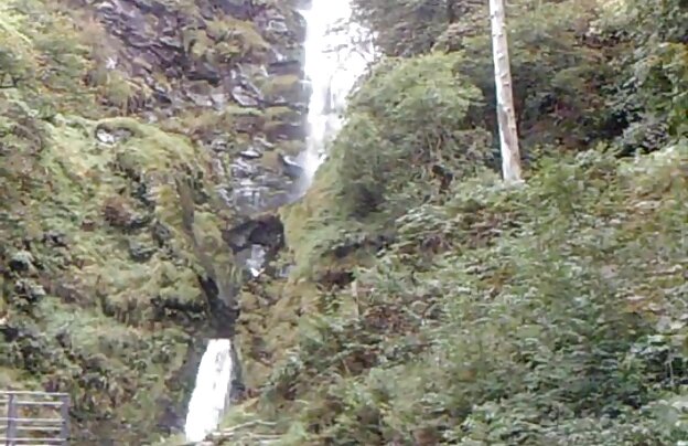 XXX سگ با کون دانلودفیلم سوپرخارجی جدید بزرگ, خفه دهان انسان