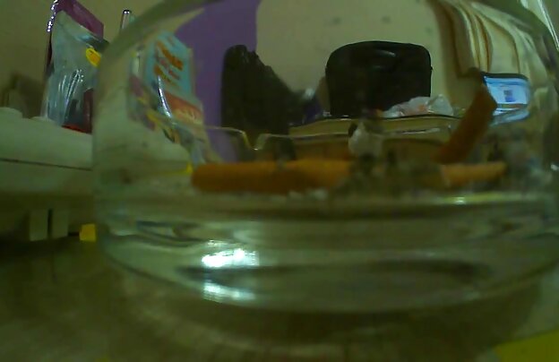 XXX سبزه, یک ماساژ پا دانلودفیلم سوپرخارجی جدید به مربی با دستکاری.