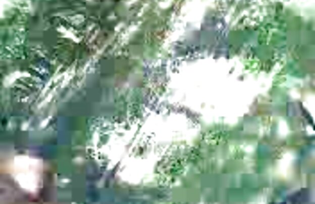 XXX تالار دانلود فیلم جدید 2018 سکسی مکیده تمام آب داغ نر