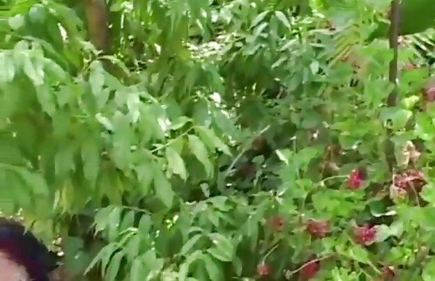 XXX دو دانلود فیلم سکسی جدید الکسیس پرشور تماشا