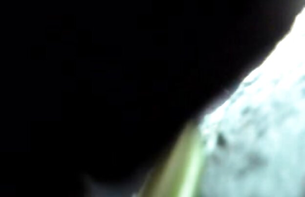 XXX سینه کلان, مامان, زن با یک مرد جوان به فاک دانلود فیلم جدید خارجی سکسی