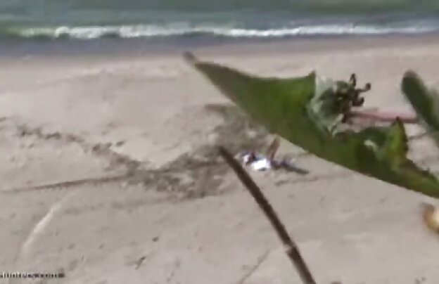 XXX با موهای قرمز, زیبایی, با شور و شوق بزرگ, باند تبهکار فیلم های سینمایی سکسی جدید