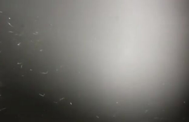 XXX سکس زن مسن جنسی, تقدیر بر روی دانلود فیلم سوپر جدید خارجی صورت