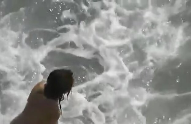 XXX شهوانی, سبزه, دیوانه می جدیدترین فیلمهای سینمایی سکسی رود با چربی دیک