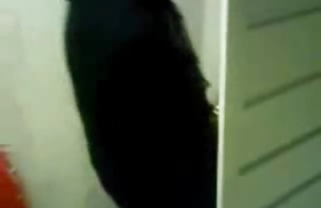 XXX مرد معصوم, مهبل گلابی و پر دخترانه دانلود فیلم جدید سکسی با اسپرم