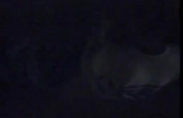 XXX دختر دانلود کلیپ سکسی جدید خارجی روسی, سکس از کون, کیر گلفت