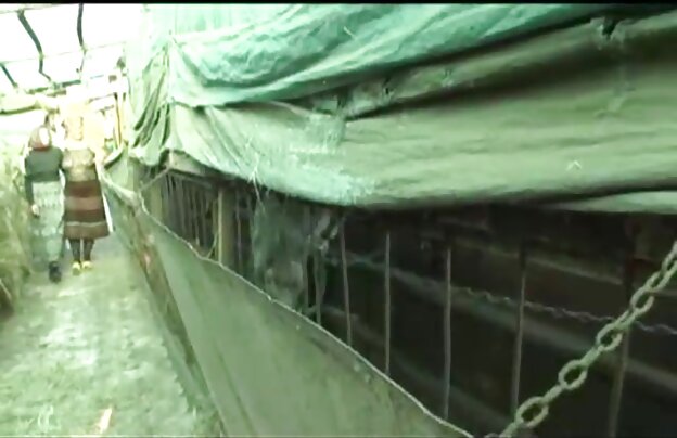 XXX جیلیان کون دانلود جدید فیلم سکسی دختر مهبل شیرین